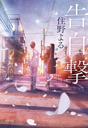 A light and novel Japanese cover