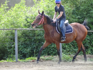 Matha Farm Hara Urara