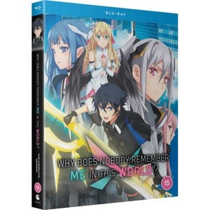 why-does-nobody-remember-me-in-this-world-the-complete-season-15-blu-ray