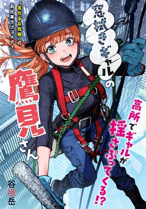 madobukigyarunotakamisan