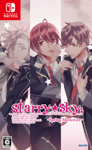 starry-sky-spring-memories.png