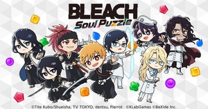 Bleach Soul Puzzle