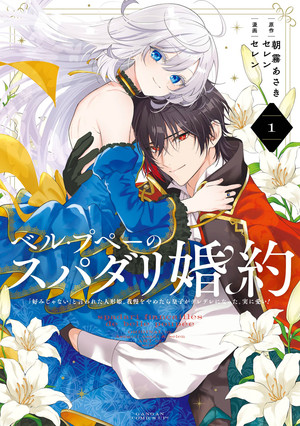 The Princess Groom volume 1 cover