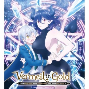 vermeil-in-gold-collection-collector-s-edition-15-blu-ray