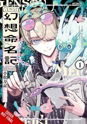 The Record of Fantastical Nomenclature