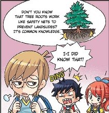 rhs-forest-fingers-panel