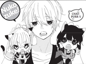 rhs-nukozuke-panel