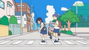 citycf1