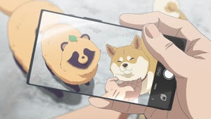 rhs-rain-cap-1.png