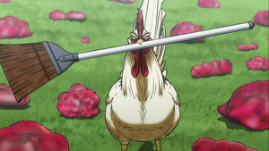 rhs-rooster-cap-1.png