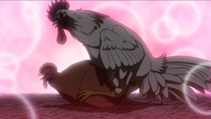 rooster-fighter-cm.png