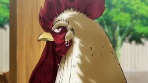 rooster-fighter-re-1