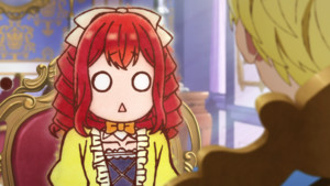 observation-record.png