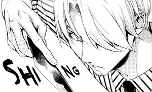 rhs-sanji-panel