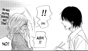 rhs-soulmate-panel