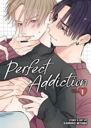 perfect-addiction