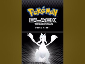 Pokémon Black Version's title screen; on the top screen, you see the game's logo. On the bottom, Reshiram looms majestically.