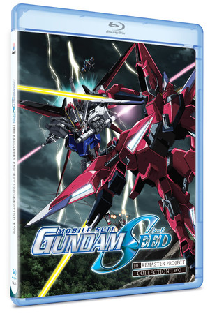 Ms Gundam Seed C2