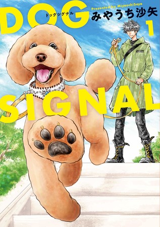 dog-signal