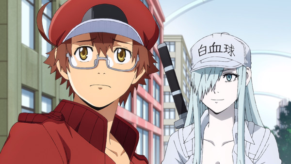 Episode 13 - Les Brigades immunitaires Black - Anime News Network:FR