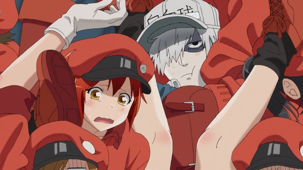 Crunchyroll on X: White Blood Cell to the rescue! 🏃‍♂️ (via Cells at Work!)   / X