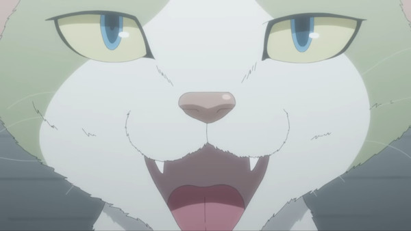 nyaight-of-the-living-cat-1.png