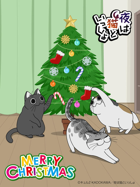 night_with_a_cat_chirstmas2024