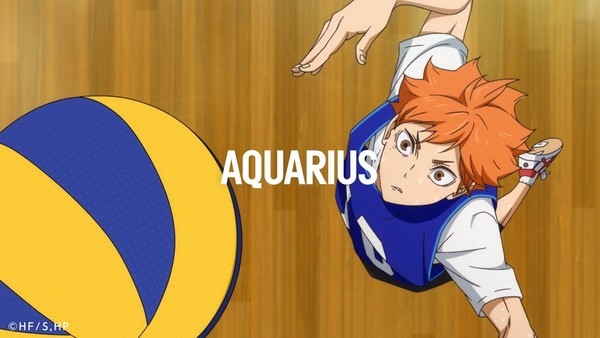 aquarius_haikyu
