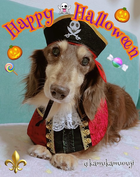 himekawa_akira_halloween_2025