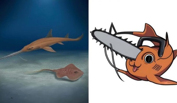 pochitaserra_patriciacanalesae