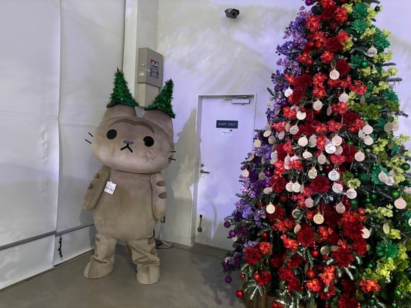 neko_mukashibanashi_christmas_2025