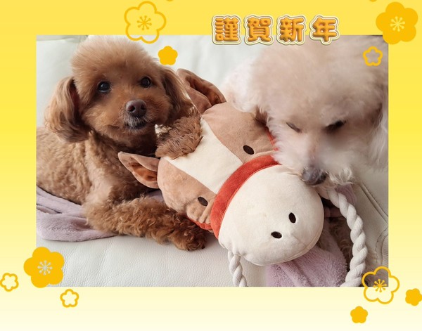 orikasa_ai_new_years_2026