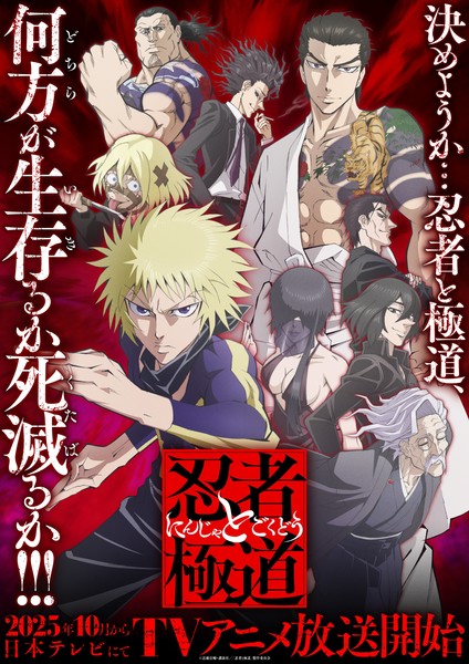 Ninja vs. Gokudo anime's key visual