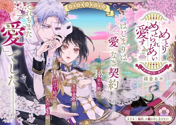 First chapter illustration for Metorimetorareai aisu ~Kamen Fūfu wa Soitogeru!?