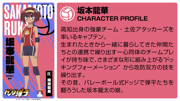 dodge4