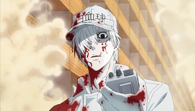 How Old Is White Blood Cell Cells At Work How Old Is White Blood Cell Cells At Work
