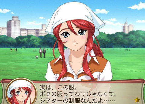 Somehow, housecleaning clothes and blushing don't say AMERICA as much as cowgirl outfits and Colt revolvers.