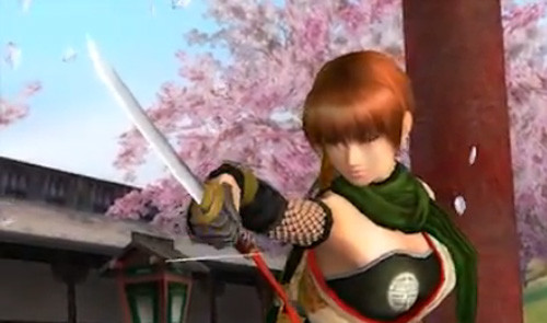 I'm not playing another Dead or Alive until Tecmo puts in Irene Lew from the Ninja Gaiden series.