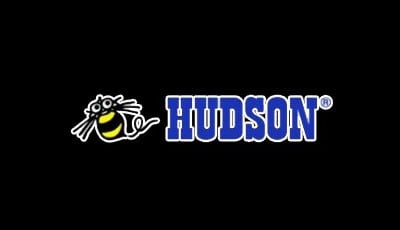 As far as I know, the bee never got its own game. But it punched things in Hudson's old NES commercials.