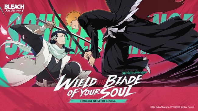 bleach-soul-resonance