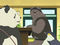 Episode 49